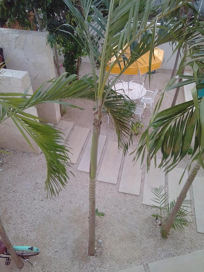 Posada Tumben Ka'A Tulum Esterno foto